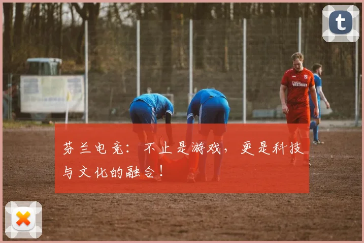 芬兰电竞:不止是游戏,更是科技与文化的融合!