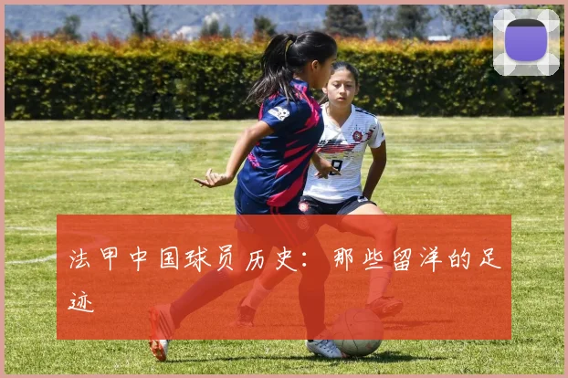 法甲中国球员历史:那些留洋的足迹