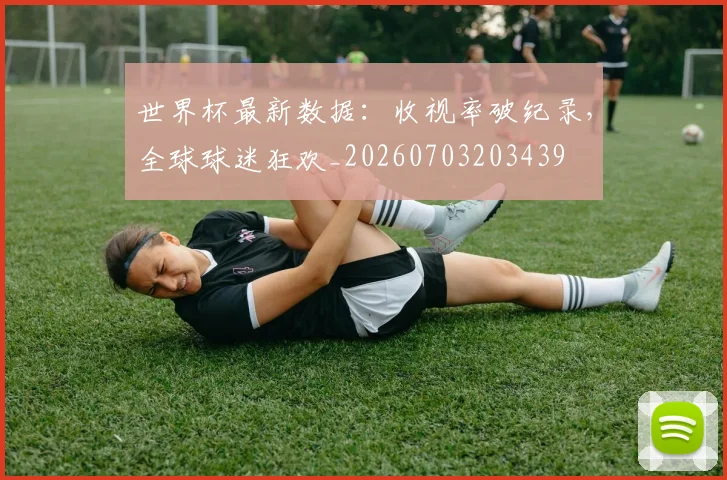 世界杯最新数据:收视率破纪录,全球球迷狂欢_20260703203439